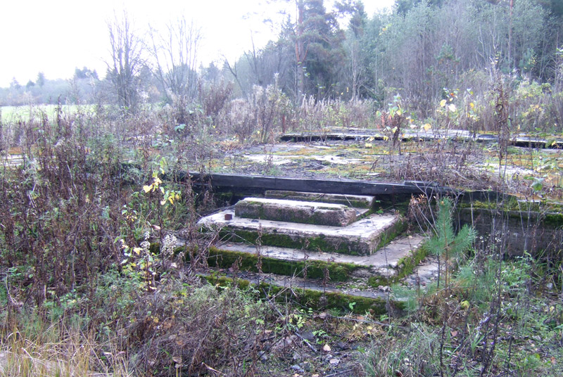 100x24_2008_sa_004
