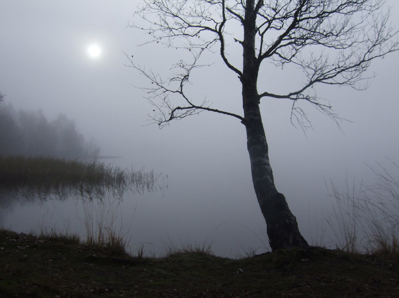 100x24_2008_sa_005